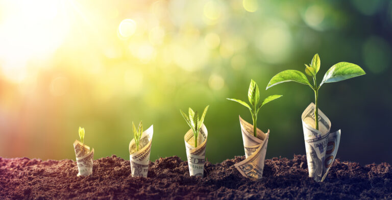 Growth Concept - Sprouts with money In Increase